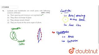 Lenticels and hydathodes are small pores with following common attributes  11  TRANSPORT IN PL [upl. by Ajnek812]