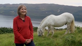 Major sighting at Loch Ness turns out to be m̶o̶n̶s̶t̶e̶r Rehomed Horse of the Year [upl. by Suhpesoj]