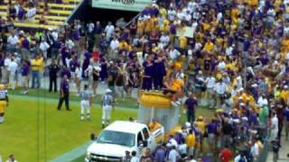 LSU Mike the Tiger travels around the field before the game 91909 [upl. by Pergrim]