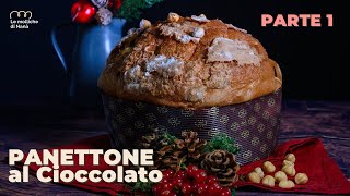 PANETTONE AL CIOCCOLATO  fatto in casa con lievito madre  parte 1 [upl. by Nesahc]