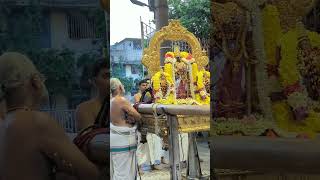 Sri Parthasarathy perumal pournami purappadu from gopura vasaltriplicane [upl. by Jenne145]