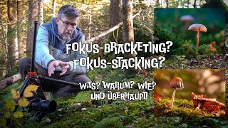 Fokus Stacking Von den Kameraeinstellungen bis zur Bearbeitung CH Mundart DE Untertitel [upl. by Malliw]