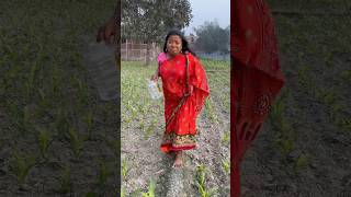 Khet Me Hagne Bali Ko Range Hato Pakar Liya 🙄😂😁 funny viral shorts [upl. by Fraase]