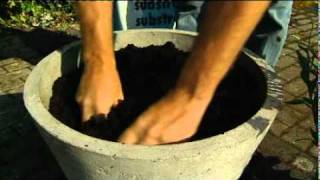 Planting flowering plants in ornamental pots [upl. by Enneite]