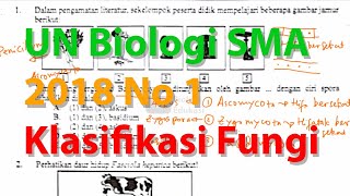 N1 Ascomycota Basydiomycota Zygomycota Pembahasan Ujian Nasional Biologi SMA 2018 [upl. by Latrina]