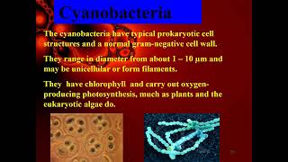 Microbiology  bacteriology lec 4 bacterial taxonomy  DRIHSAN [upl. by Aihsemot853]