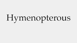 How to Pronounce Hymenopterous [upl. by Talley]