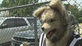 Demonstrators gather outside Fulton County Jail for former President Trumps surrender [upl. by Ostler]