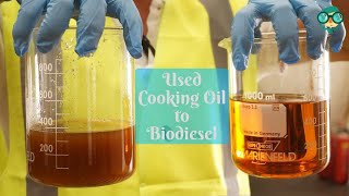 How to Make Biodiesel from Used Cooking Oil at Home How Do You Make Biodiesel from Cooking Oil [upl. by Aicina]