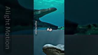 Mosasaurus vs Pliosaurus [upl. by Natsreik202]