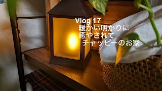 vlog日常カルディ、無印、niko and…購入品、ロールキャベツ、12月カレンダー、犬 [upl. by Meggi]