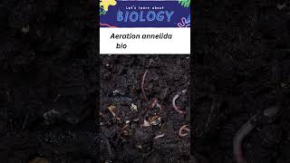 What is zoological name of Earthwormyoutubeshortsyoutubevideos3Kainat66 [upl. by Korrie]