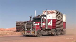 Calomba Kenworth Road Trains [upl. by Saleem]