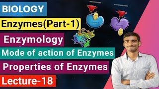 Biology Lecture18 Enzymespart1Enzymology Mode of action of enzymes Properties of Enzymes [upl. by Armil]