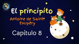 Audiolibro El principito Capitulo 8 Antoine de Saint Exupéry [upl. by Uhej]