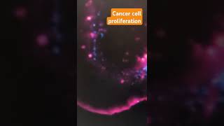 Cancer cell proliferation  Biomedical Research [upl. by Godding]