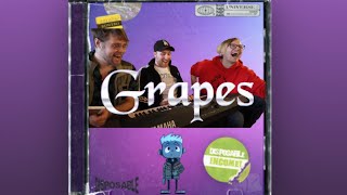 Grapes Disposable Income  Garrett Watts Caleb Hurst Andrew Siwicki Bruce Wiegner Lyrics Desc [upl. by Lerred]