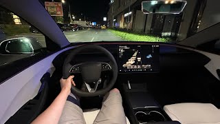 Tesla Model 3 Performance 2024 Night Drive [upl. by Apoor531]