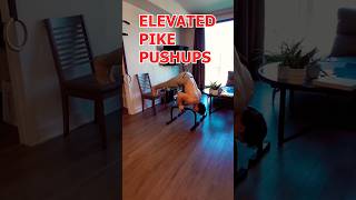 HOW I BUILT SHOULDER STRENGTH FOR HANDSTANDS shorts calisthenics pikepushup parallettes fitness [upl. by Burtis777]