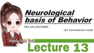 PSY 610 Neurological basis of behavior  lecture 13  Psychology hub [upl. by Adnarb]