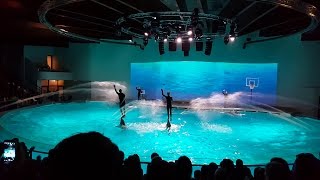 Dolphin Show In 4K  Dolphinarium Delfinariumas  Lithuania Klaipėda Smiltynė  HD [upl. by Oderf837]