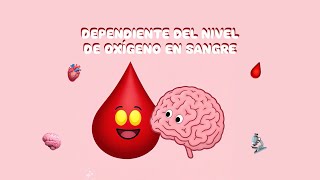 Dependiente del Nivel de Oxígeno en Sangre Blood oxygen leveldependent BOLD 🩸 [upl. by Brunhild]