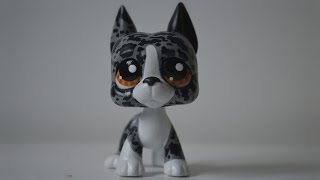 Customizing LPS Merle Great Dane [upl. by Yaras]