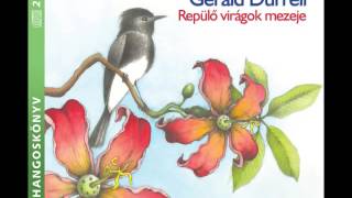 Gerald Durrell Repülő virágok mezeje Sörényes Sára Szacsvay László előadásában [upl. by Rosenthal]