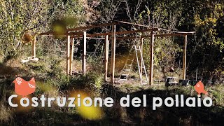 Costruzione del pollaio e messa in sicurezza della Food Forest [upl. by Renell]