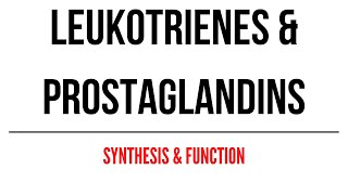 Leukotrienes amp Prostaglandins Synthesis and Function [upl. by Ursas]