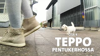 Evidensia Pentupäiväkirjat – Osa 4 Teppo pentukerhossa [upl. by Ten113]