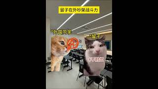 留子在外骂人的杀伤力 留学 留学生 留学日常 留学生活 猫meme [upl. by Ibib]