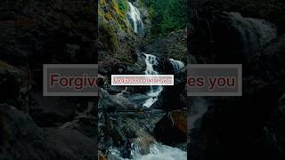 FORGIVENESS CHANGES YOU forgiveness forgiveness love forgivenesspractice forgivenessheals fyp [upl. by Neile226]