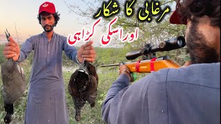 Common moorhen Hunting and Karahi  By Muharram Food Recipes commonmorhen hunting uniquerecipes [upl. by Chretien]