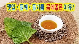 깻잎·들깨·들기름 몸에좋은이유 Perilla leaves good for your body 피부 미용건강 식품건강 효능질병 예방항산화 작용혈액 순환 개선 [upl. by Coward]