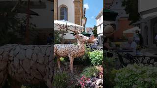 Aalen Ален 🇩🇪 travel sorts germany deutsch moments beautiful explore [upl. by Barnabe]