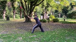 Chen Taijiquan 24´Speer Form [upl. by Aihsa891]