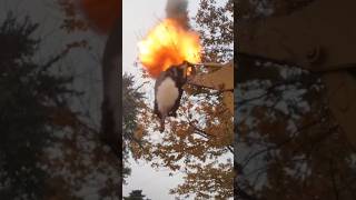 GIANT Bald Faced Hornets Nest Vs Black Powder Cannon strapped to Backhoe [upl. by Hahn880]