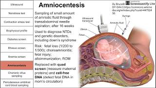 Prenatal screening fetal testing and other tests during pregnancy [upl. by Ahsinav]