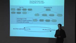 Daniel Rasmussen  Modelling adaptive behaviour via hierarchical reinforcement learning [upl. by Iridis308]