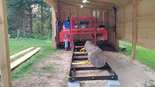 Hard Maple vs Hudson 330 pro chainsaw forest portablesawmill [upl. by Adnaw830]