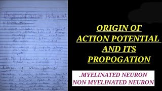 ORIGIN OF ACTION POTENTIAL AND ITS PROPOGATION IN MYELINATED AND NON MYELINATED NERVE FIBRE IN HINDI [upl. by Ennaul899]