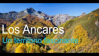 LOS ANCARES UN TERRITORIO FASCINANTE ENTRE LEÓN Y LUGO [upl. by Ennazzus]