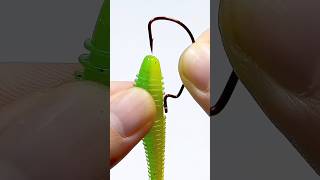 Remember best fishing bait tips fishing shorts [upl. by Conners688]