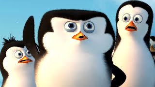 DreamWorks Madagascar  Penguins of Madagascar Official Trailer 3  Kids Movies [upl. by Napoleon]