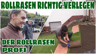 Richtig Rollrasen verlegen  So leicht gehts 🌱Anleitung  Garten Neugestaltung [upl. by Kele]