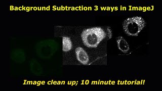 Background subtraction in imageJ 3 ways [upl. by Weissberg]