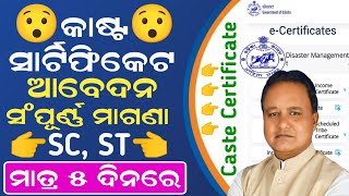 How to Apply Caste Certificate In Odisha  SC Caste Certificate Apply Online  SC ST OBC Certificate [upl. by Hamlen]