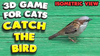 3D game for cats  CATCH THE BIRD isometric view  4K 60 fps stereo sound [upl. by Anayeek282]