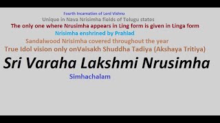 Sri Varaha Lakshmi Nrusimha [upl. by Htrow]